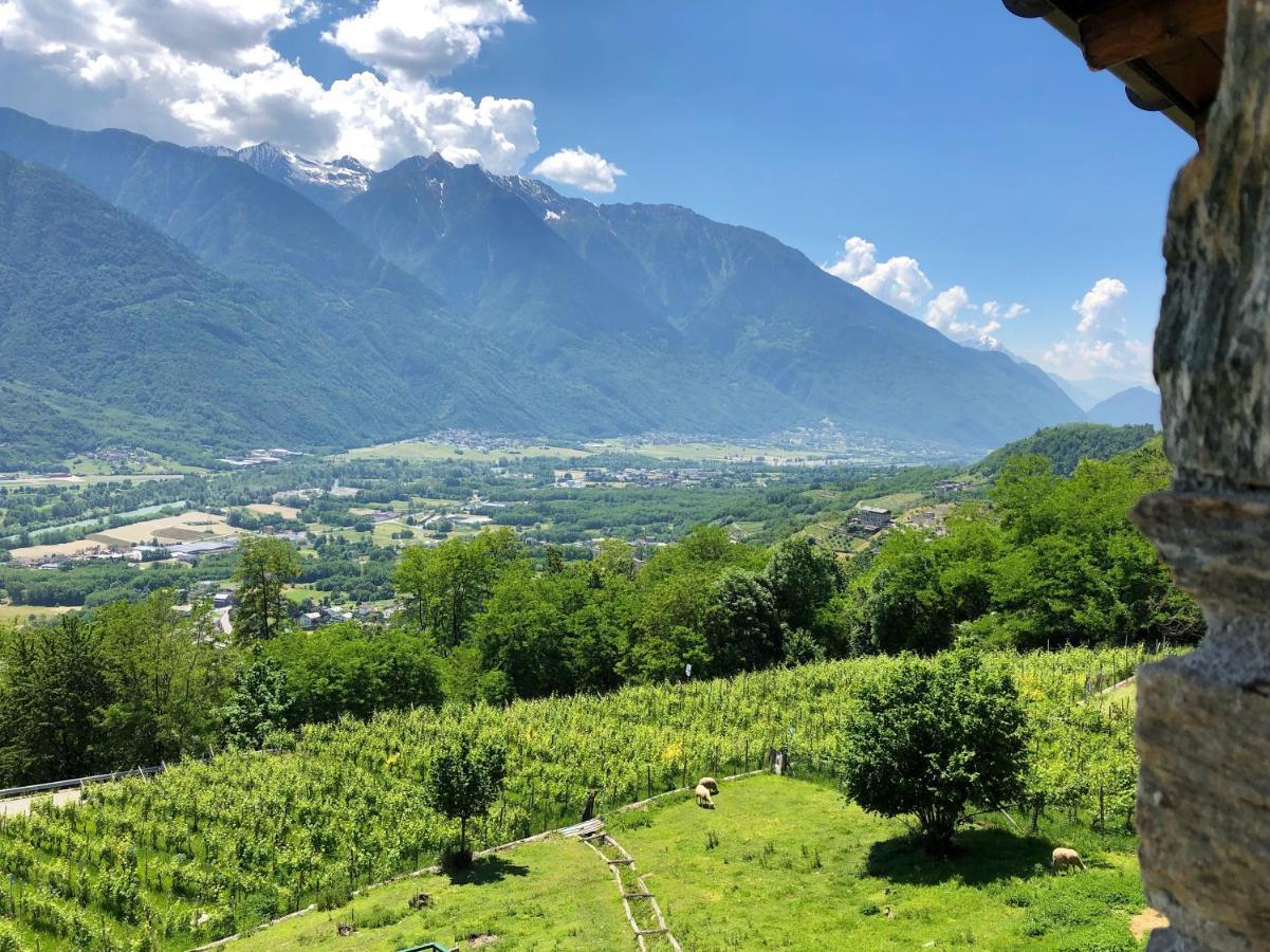 Agriturismo Cavria Castione Andevenno Buitenkant foto